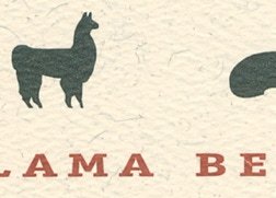 Llama Bean Ranch logo design and stationery system.